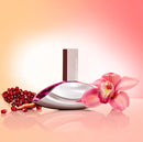 Calvin Klein Euphoria Edp 100ml Mujer