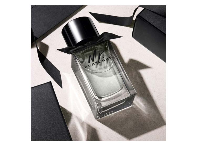 Burberry Mr Burberry Edt 100ml Hombre