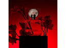 Shakira Rojo Set 80ml + Deo 150ml Mujer