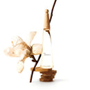 Issey Miyake L'Eau D'Issey Eau & Magnolia Edt 100ml Mujer