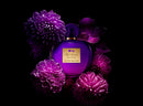 Antonio Banderas Her Secret Desire Edt 80ml Mujer