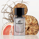 Burberry Mr Burberry Edt 100ml Hombre