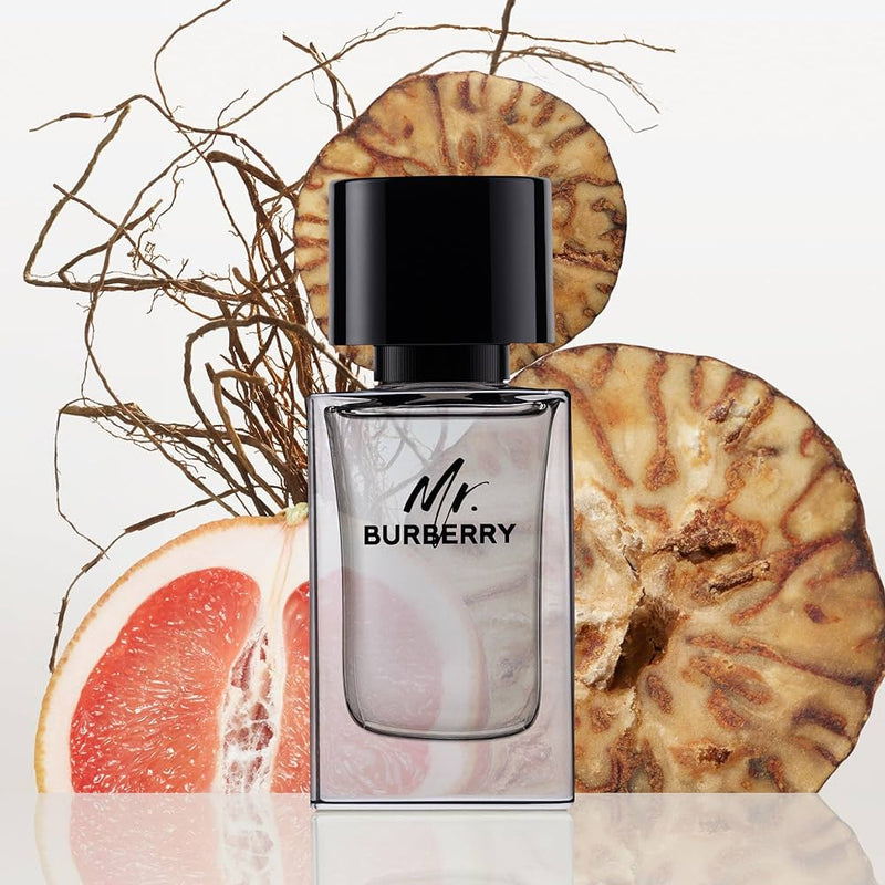 Burberry Mr Burberry Edt 100ml Hombre