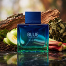 Antonio Banderas Blue Seduction Wave Edt 100ml Hombre