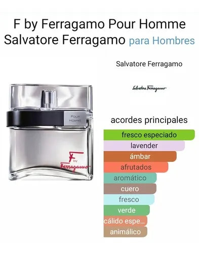Salvatore Ferragamo F By Ferragamo Pour Homme Edt 100ml