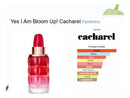 Cacharel Yes I Am Bloom Up! Set Edp 50ml + 10ml Mujer