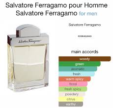 Salvatore Ferragamo Pour Homme Edt 100ml Hombre