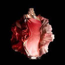 Shakira Dance Midnight Muse Edt 80ml Mujer