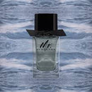 Burberry Mr Burberry Edt 100ml Hombre