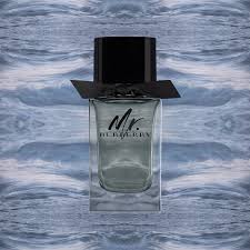 Burberry Mr Burberry Edt 100ml Hombre