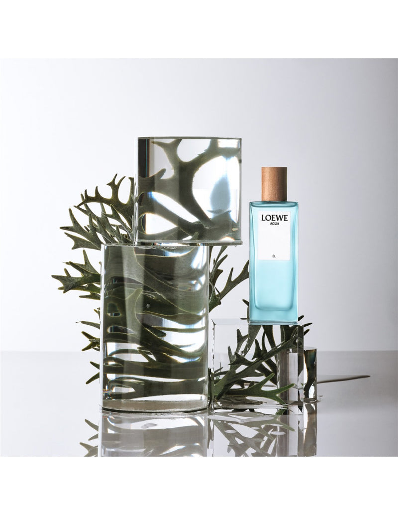 Loewe Agua EL Edt 100ml Hombre