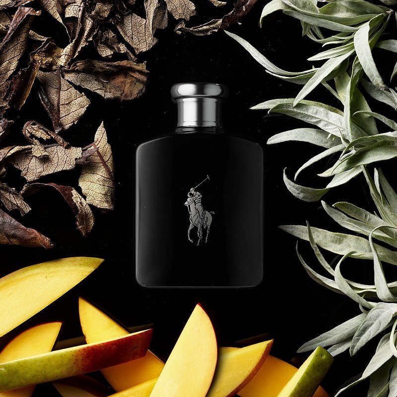 Ralph Lauren Polo Black Edt 200ml Hombre