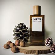 Loewe Pour Homme Edt 100ml Hombre